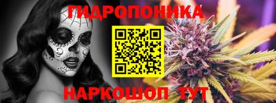 Альфа ПВП Гудермес