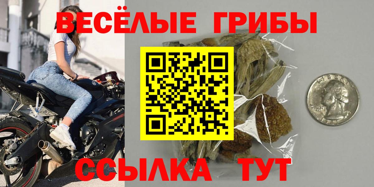 Псилоцибиновые грибы Cubensis  Вход с VPN  Ревда  Галлюциногенные грибы GOLDEN TEACHER 